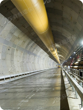 شركة جيانغسو سولونج للتكنولوجيات البيئية المحدودة